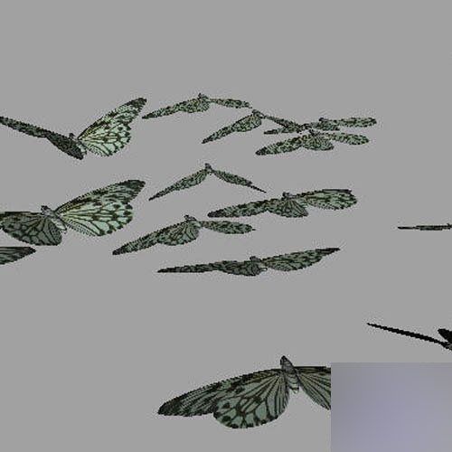 Maya2008制作一只逼真的蝴蝶 脚本之家