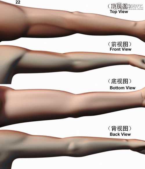 MAYA男子手臂建模教程 脚本之家 MAYA建模教程