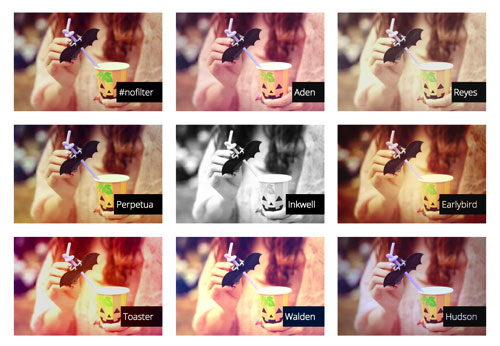 201641104901395.jpg (500×346)