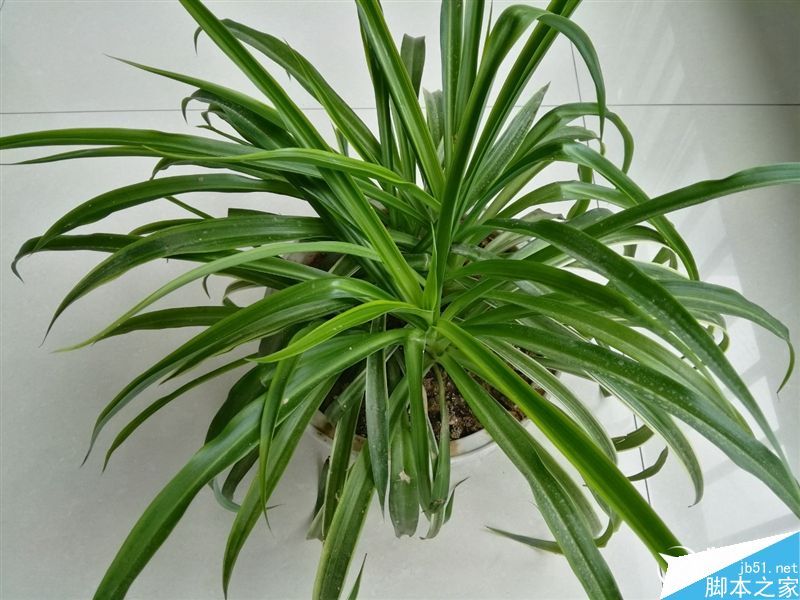 6.6寸2K完美巨屏机！荣耀NOTE8深度评测