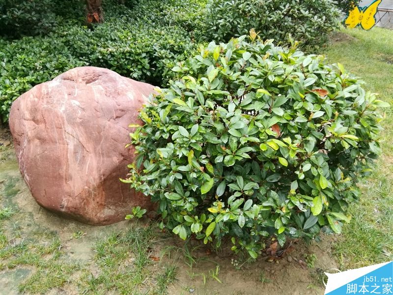 6.6寸2K完美巨屏机！荣耀NOTE8深度评测