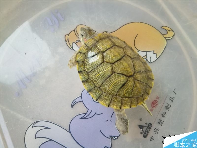 6.6寸2K完美巨屏机！荣耀NOTE8深度评测