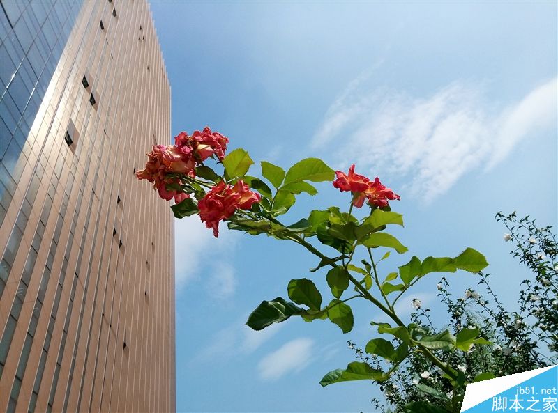 用旗舰机工艺对飙红米Pro！1299元魅蓝E体验