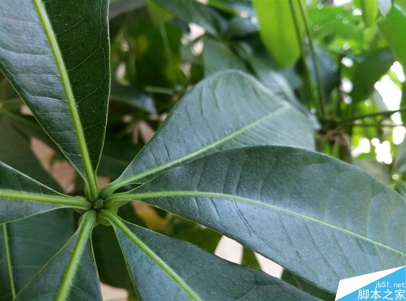 用旗舰机工艺对飙红米Pro！1299元魅蓝E体验