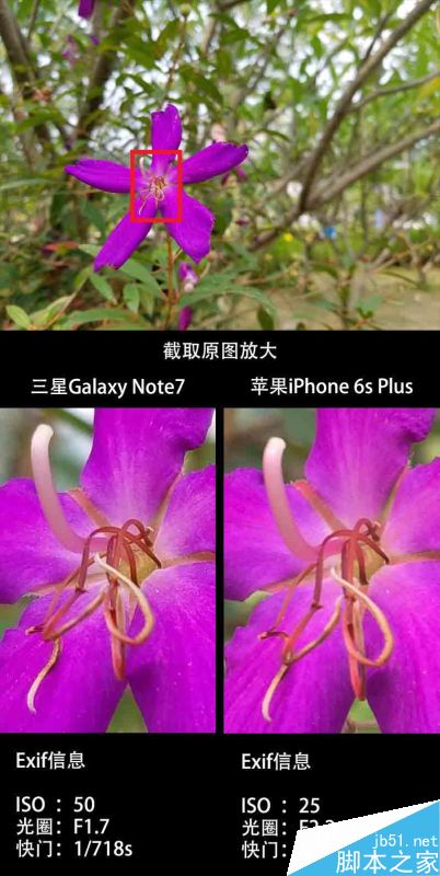三星Note7、iPhone 6S Plus拍照对比测试：差距惊人