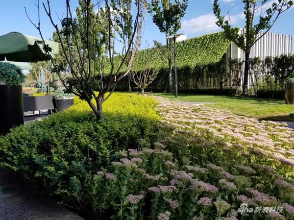 三星Note7对比iPhone6s Plus 几乎完胜