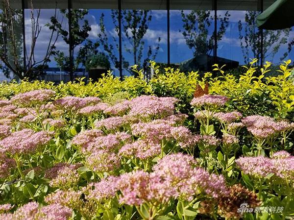 三星Note7对比iPhone6s Plus 几乎完胜