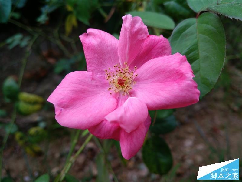 1999元首发骁龙821+6GB！乐视乐Pro 3深度评测