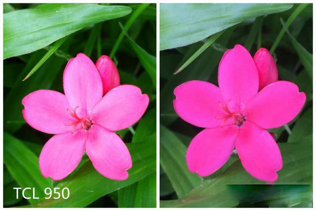 文艺范商务旗舰 TCL 950详细评测