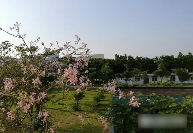 文艺范商务旗舰 TCL 950详细评测