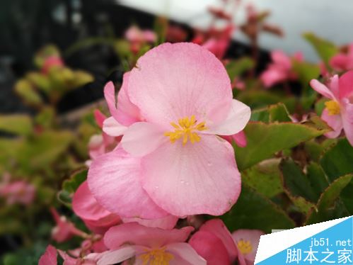 金立M6对比360Q51085