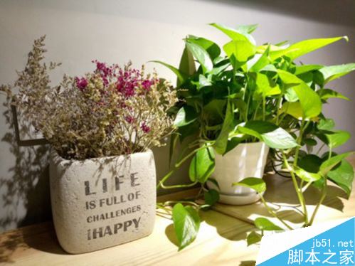 金立M6对比360Q51104