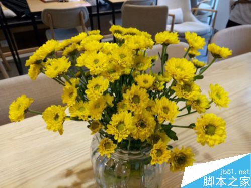 金立M6对比360Q51106