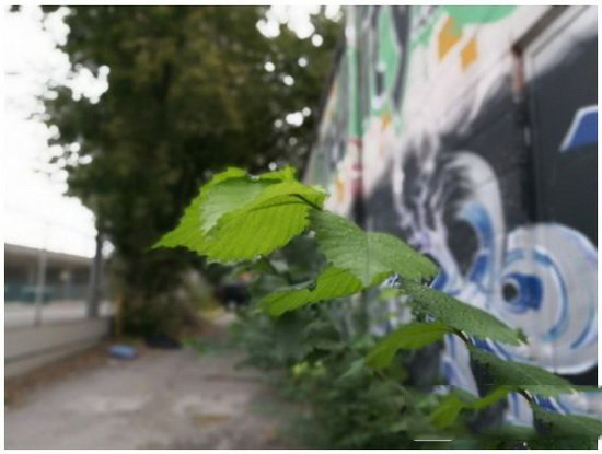 iphone7plus和荣耀8哪个好 华为荣耀8和iphone7plus对比7