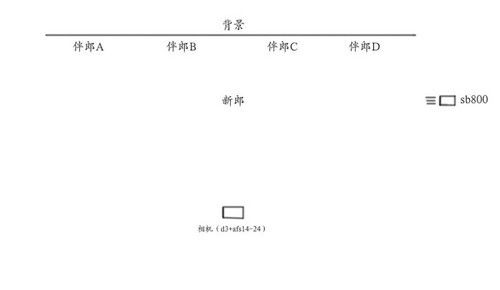 随机应变出大片 婚礼摄影师的实战分析 随机应变出大片 婚礼摄影师的实战分析