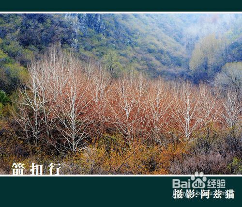 阿兹猫摄影手记--小议阴天拍摄技巧