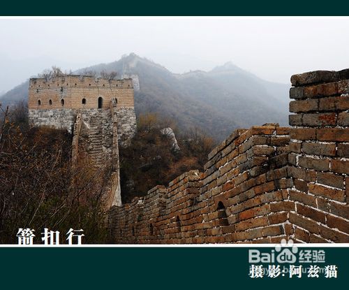 阿兹猫摄影手记--小议阴天拍摄技巧