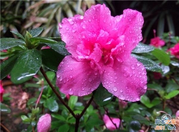 比Android版更流畅！YunOS版魅蓝手机试玩