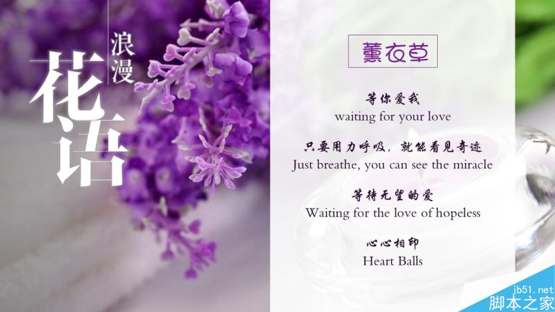 中文字体设计之美 脚本之家 设计理论c169569b960d32f87574be819472.jpg