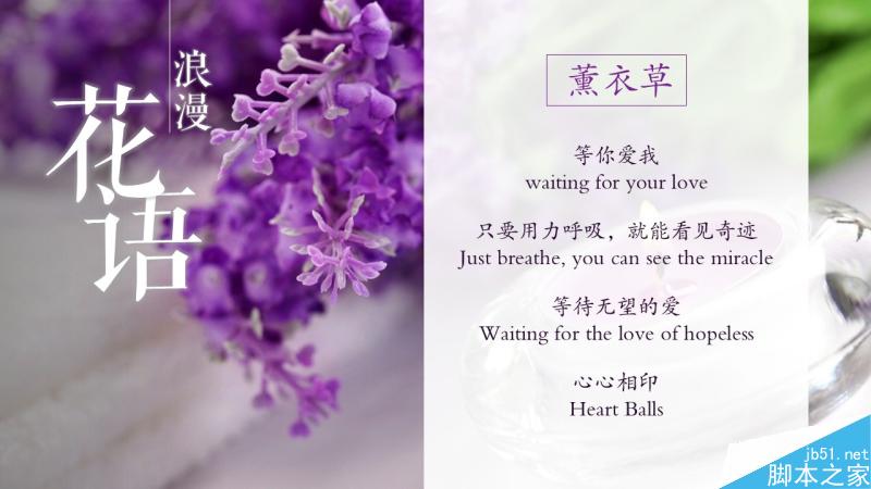 中文字体设计之美 脚本之家 设计理论31db569b961b6ac725af231e0f6c.jpg
