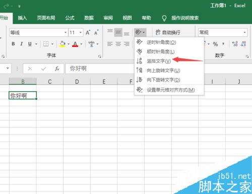 Excel2019怎么竖排显示文字?Excel2019竖排显示文字设置方法
