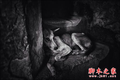 闫璐专栏