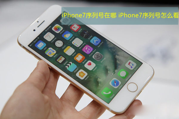 iPhone7序列号在哪 iPhone7序列号怎么看？