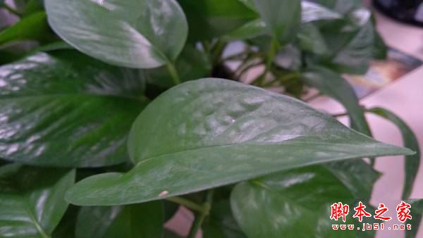 联想Moto M和联想P2哪个好?联想P2和MotoM全面区别对比详细评测图解