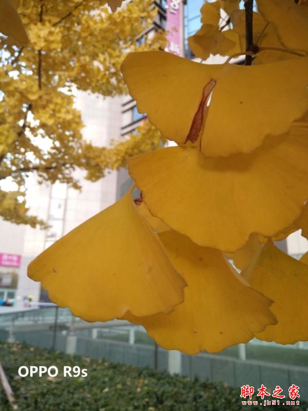 OPPOR9s/三星C9Pro/vivoX7/小米MIX详细区别对比评测图解：哪个更值得买？