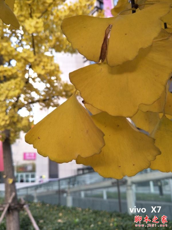 OPPOR9s/三星C9Pro/vivoX7/小米MIX详细区别对比评测图解：哪个更值得买？