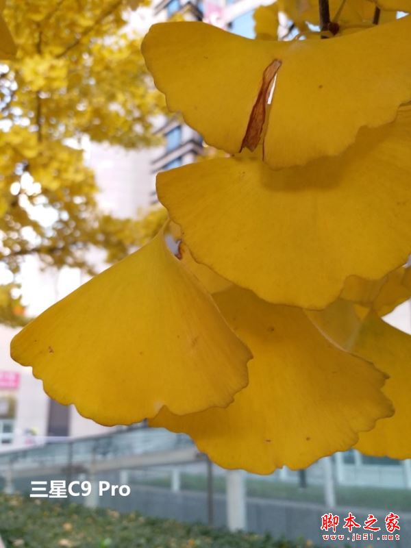 OPPOR9s/三星C9Pro/vivoX7/小米MIX详细区别对比评测图解：哪个更值得买？