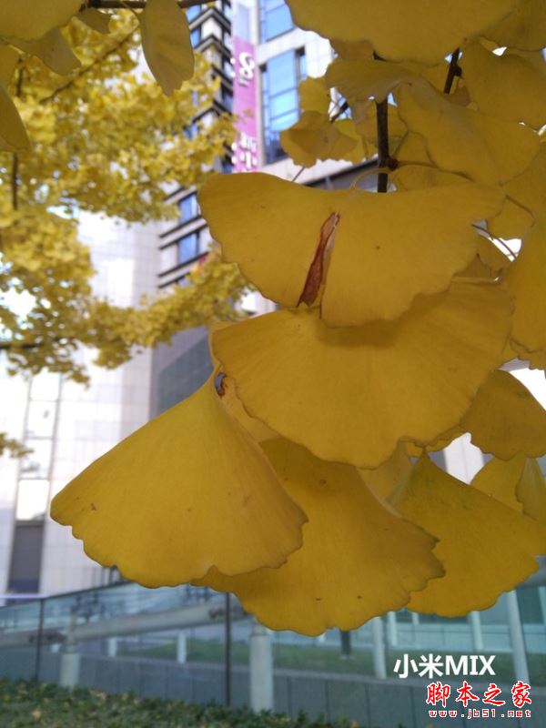 OPPOR9s/三星C9Pro/vivoX7/小米MIX详细区别对比评测图解：哪个更值得买？