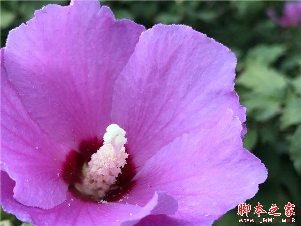 iPhone7和7Plus哪个性价比高？iPhone7和7Plus哪个更值得买