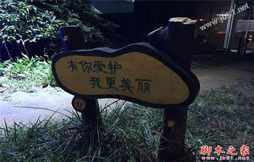 iPhone7和7Plus哪个性价比高？iPhone7和7Plus哪个更值得买