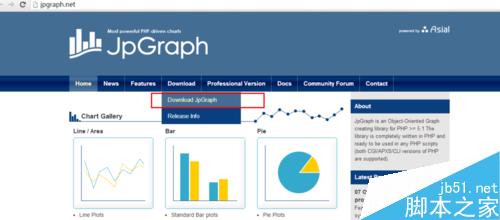 PHP报表，PHP图表