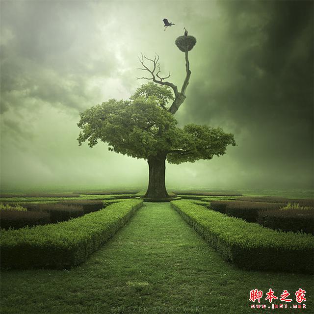 发挥你的摄影创造力