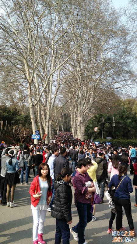 酷派大神X7全网通拍照评测