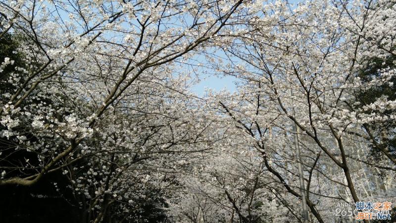 酷派大神X7全网通拍照评测