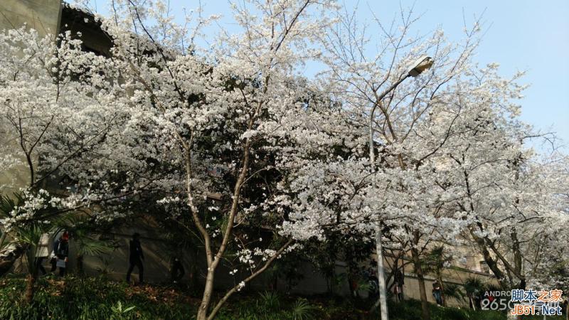 酷派大神X7全网通拍照评测