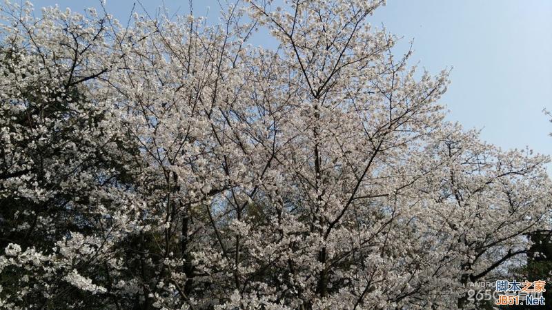 酷派大神X7全网通拍照评测