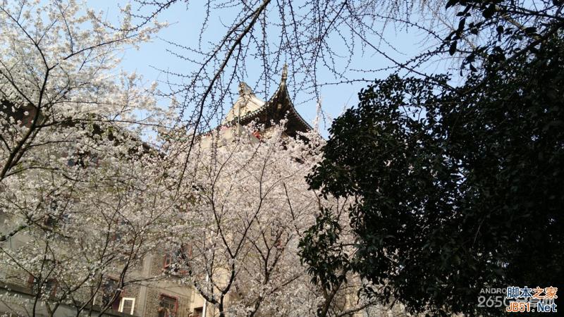 酷派大神X7全网通拍照评测