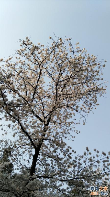 酷派大神X7全网通拍照评测