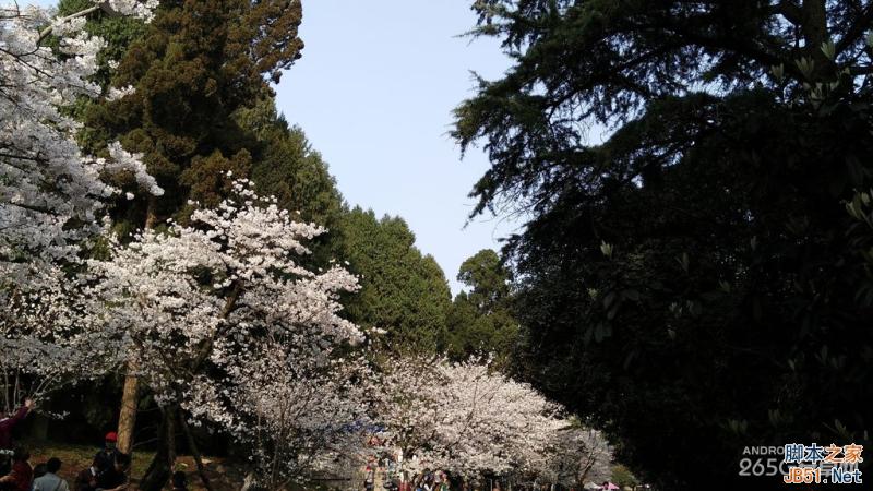 酷派大神X7全网通拍照评测