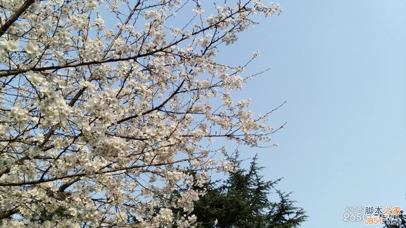 酷派大神X7全网通拍照评测