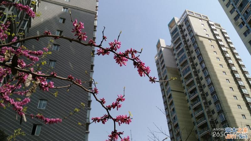 酷派大神X7全网通拍照评测