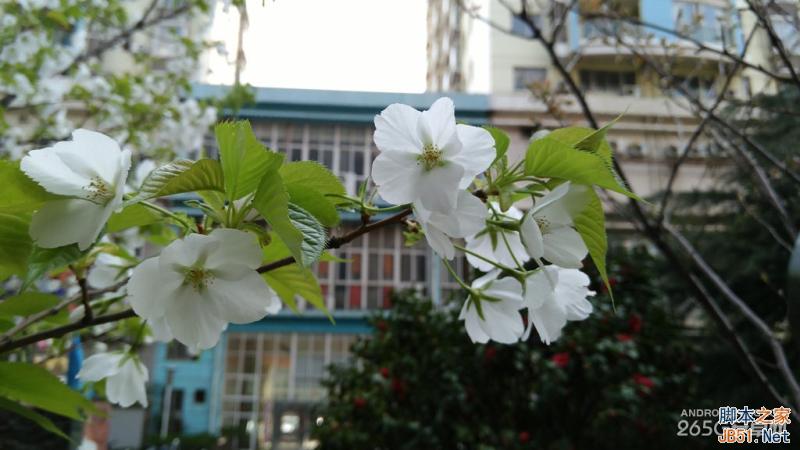 酷派大神X7全网通拍照评测