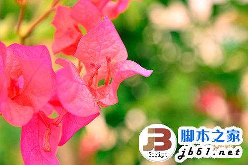 单反摄影常用小技巧