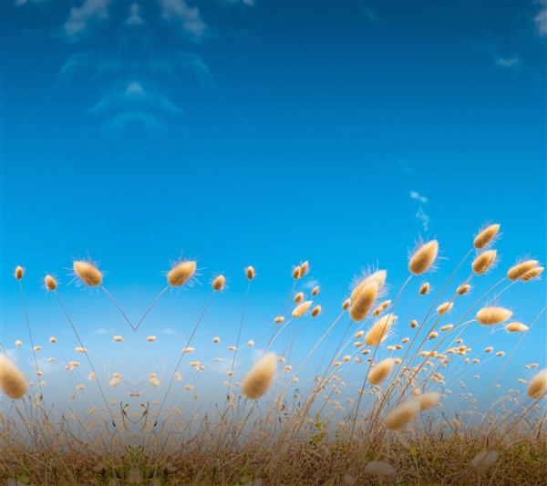 HTC重磅旗舰屏幕确定！附超美壁纸下载