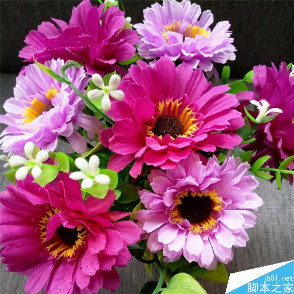 魅族X对比荣耀8拍照样张曝光 进光量更大