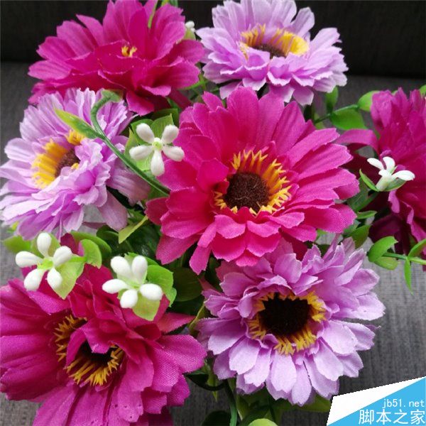 魅族X对比荣耀8拍照样张曝光 进光量更大